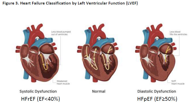 fig3